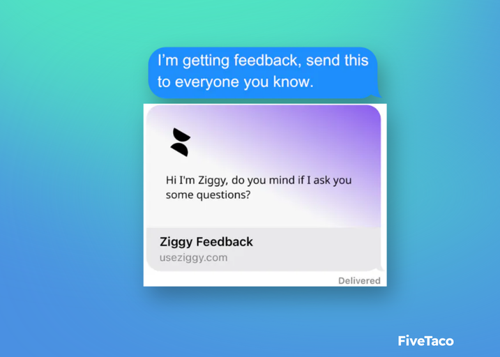 Ziggy | FiveTaco